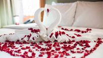 Rose day 2024:  सुहागरात पर गुलाब के फूलों से ही क्यों सजाया जाता है कमरा,  रोमांस और साइंस से जुड़ी है वजह 
