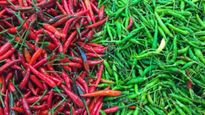 Green Chilli Vs Red Chilli: लाल या हरी म‍िर्च,  जानें सेहत के ल‍िए क्‍या है बेहतर?