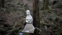 The Suicide Forest of Japan : ये है दुनिया का रहस्यमयी जंगल, जहां जाने वाला कर लेता हैं खुदखुशी 