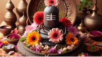 Maha Shivratri 2024 Fast: महाशिवरात्रि का व्रत गलती से टूट जाए तो क्या करें?