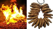  Holika Dahan 2024 : होलिका दहन में क्यों जलाए जाते हैं गोबर के कंडे, सेहत से जुड़ा है कनेक्‍शन 
