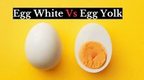 Egg White Vs Egg Yolk : जानें दोनों में से प्रोटीन के ल‍िए क्‍या खाना चाह‍िए? 