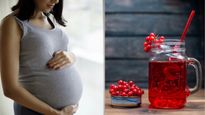 Cranberry Juice in Pregnancy:  प्रेग्‍नेंसी में सूपरफूड से कम नही हैं क्रैनबेरी, क‍ब और क‍ितना पीना चाह‍िए?  