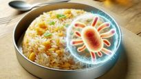  Fried Rice Syndrome से गई युवक की जान, क्या है ये बीमारी, जाने लक्षण और बचाव 
