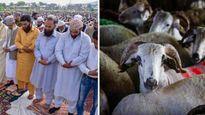 Qurbani Ki Dua Aur Tarika: जिबह करने से पहले पढ़ी जाती है ये दुआ, जानें कुर्बानी से जुड़े जरूरी नियम
