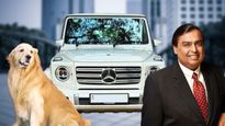  Ambani के पेट डॉग “Happy” के पास है 3 करोड़ की लग्‍जरी कार, पहनता है डिजाइनर कपड़े 