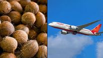 दुनिया का इकलौता ऐसा फल जिसे हवाई जहाज में ले जाना है मना,  पकड़े जानें पर हो सकती है जेल, वजह भी जान लें   