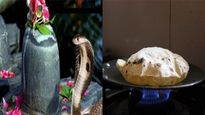 Nag Panchami 2024: नाग पंचमी के दिन क्यों तवे का इस्तेमाल होता है वर्जित?