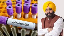  पंजाब के मुख्यमंत्री भगवंत मान को हुआ लेप्टोस्पायरोसिस, चूहों से फैलने वाली इस बीमारी के बारे में जानें 