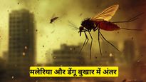  Malaria Vs Dengue: यूपी में बढ़ रहे हैं डेंगू-मलेरिया के मामले, दोनों के लक्षण बिल्कुल एक जैसे, ऐसे पहचानें 