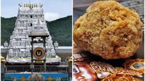 Tirupati Laddu को म‍िल चुका है GI टैग,  309  साल पुराना है इस 'प्रसादम' का इतिहास, जानें खासियत 