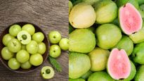 Guava vs Amla: विटामिन-सी के ल‍िए अमरूद खाएं या आंवला, यहां जानें 