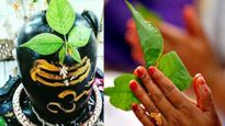 Mahashivratri 2025 : भगवान शिव को क्यों चढ़ाते हैं बेलपत्र, जानें इससे सेहत को होने वाले फायदे 