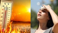 Heatwave Alert : दिल्ली में हीटवेव का प्रकोप, IMD ने क‍िया अलर्ट, जब लू लग जाए तो जानें कैसे उतारें? 