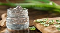  Skin Care Tips : मिलावटी एलोवेरा छ‍िन सकता चेहरे का नूर, इन आसान तरीकों से असली और नकली जेल की करें पहचान