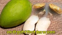 Benefits Of Mango Seeds: आम ही नहीं इसकी गुठली भी है बहुत फायदेमंद, इन 5 रोगों का जड़ से कर देती है सफाया