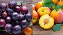 Peach Vs Plum: आडू और आलू बुखारा में कौन है ज्‍यादा हेल्‍दी? दोनों में अंतर और फायदे जानें