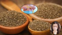 Ajwain Health Benefits: रसोई में रखा ये मसाला बन सकता है हेल्थ का हीरो, 6 बीमारियों की एक चुटकी दवा