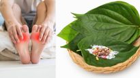  Betel Leaf for Uric Acid: यूरिक एसिड कम करने में कारगर पान का पत्ता, जानें सेवन का तरीका