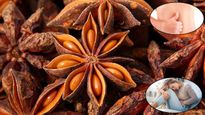 Star Anise Benefits: खांसी, कमजोरी और पीरियड्स पेन से लेकर नींद तक, इस फूल में छिपे 6 फायदे