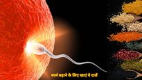 Male Fertility : कम स्पर्म काउंट की वजह से पिता बनने में हो रही दिक्कत? आज ही खाना शुरू करें ये दालें 