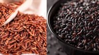 Brown vs Black Rice  काले और भूरे रंग के चावल में क्‍या अंतर है? दोनों में से क्‍या खाना है ज्‍यादा फायदेमंद 
