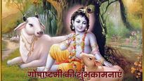 Happy Gopashtami 2025 Wishes: गोपाष्टमी पर प्रियजनों को भेजें ये भक्ति से भरे शुभकामना संदेश