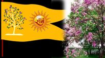 अयोध्या राम मंदिर के ध्वज पर कोविदार वृक्ष क्यों? जानिए इस दुर्लभ पौराणिक वृक्ष के धार्मिक और स्वास्थ्य लाभ