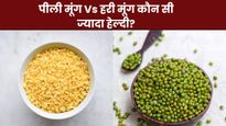 पीली मूंग Vs हरी मूंग, कौन सी दाल है ज्यादा फायदेमंद? जानिए एक्सपर्ट से