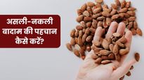 कहीं आप भी तो नहीं खा रहे नकली बादाम? इन आसान तरीकों से घर बैठे करें असली और नकली बादाम की पहचान
