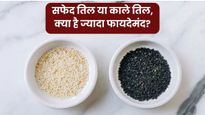 सफेद तिल या काले तिल, सेहत के लिए कौन सा है ज्यादा फायदेमंद? जानिए एक्सपर्ट से