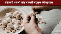 नकली लहसुन की पहचान कैसे करें? मिनटों में इन 5 तरीकों से लगाएं पता