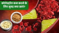 हाई कोलेस्ट्रॉल कम करने के लिए सुबह क्या खाना चाहिए? जानिए 5 चीजें, जिन्हें खाने से घटेगा बैड कोलेस्ट्रॉल