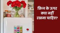 Vastu Tips: फ्रिज के ऊपर भूलकर भी न रखें ये 5 चीजें, वरना घर में छा जाएगी कंगाली