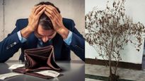 Vastu Tips: घर में आर्थिक संकट आने से पहले दिखते हैं ये संकेत, भूलकर भी न करें नजरअंदाज