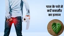 बवासीर की समस्या को जड़ से खत्म करेगा पान का पत्ता, इन 2 तरीकों से करें इस्तेमाल