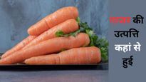 International Carrot Day 2026: 4 अप्रैल को ही क्यों मनाया जाता है विश्व गाजर दिवस? जानें रोचक कहानी