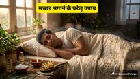 World Malaria Day 2026: कॉइल के धुएं से घुटता है दम? तो मच्छर भगाने के लिए आजमाएं ये 7 देसी तरीके