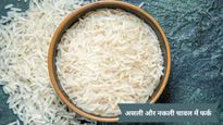 कहीं आप प्लास्टिक राइस तो नहीं खा रहे आप? इन 5 आसान तरीकों से करें असली-नकली की पहचान