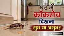 घर में अचानक कॉकरोच निकलना शुभ या अशुभ? जानें ज्योतिष और वास्तु के संकेत