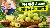 'मन की बात' में PM  मोदी ने बताया क्यों इतना खास है आंवला, जानिए इसके 5 जबरदस्त फायदे और सेवन का सही तरीका