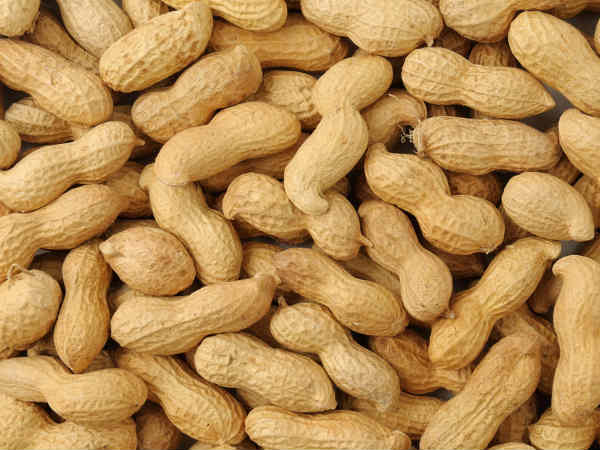 Peanuts