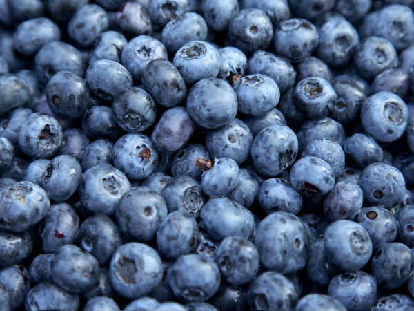 ब्लूबेरी