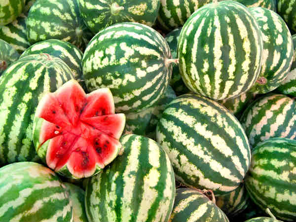 watermelon 