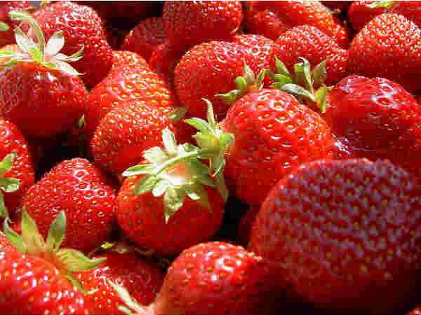 बैरी बैरी