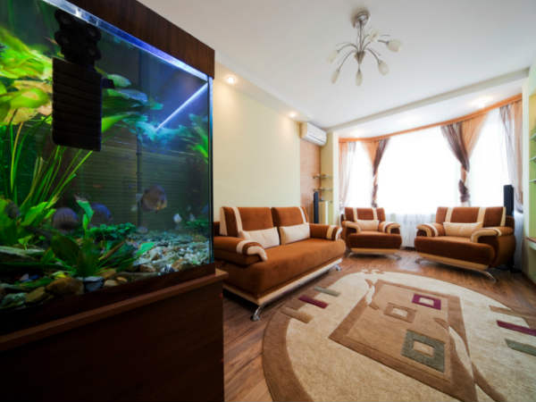 घर को सजाइये