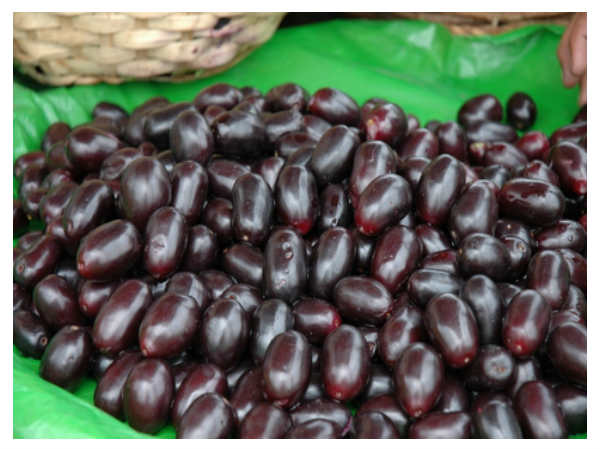 काली जामुन