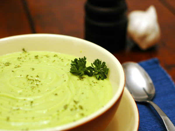 Avocado Soup 