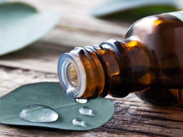 Treat Hair Fall With Eucalyptus Oil