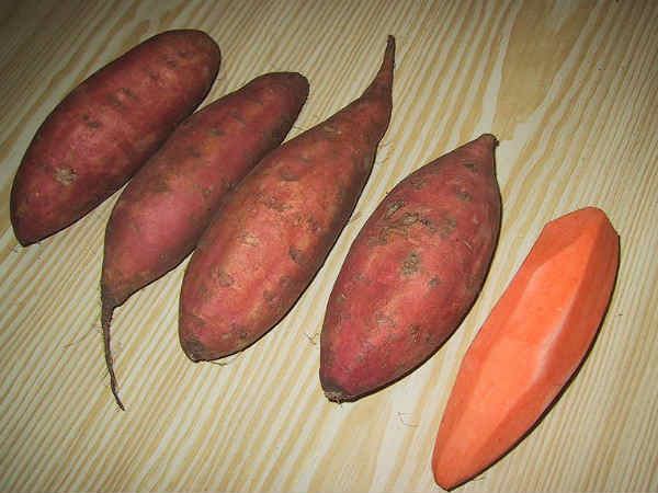 शकरकन्द